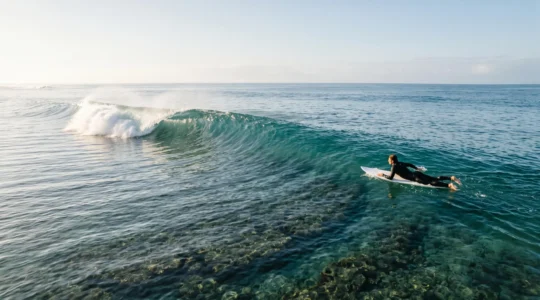 Surfeur en pleine action sur une vague de récif corallien, illustrant l'équilibre entre performance et prudence face au danger du fond marin